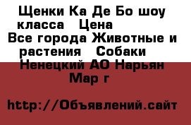 Щенки Ка Де Бо шоу класса › Цена ­ 60 000 - Все города Животные и растения » Собаки   . Ненецкий АО,Нарьян-Мар г.